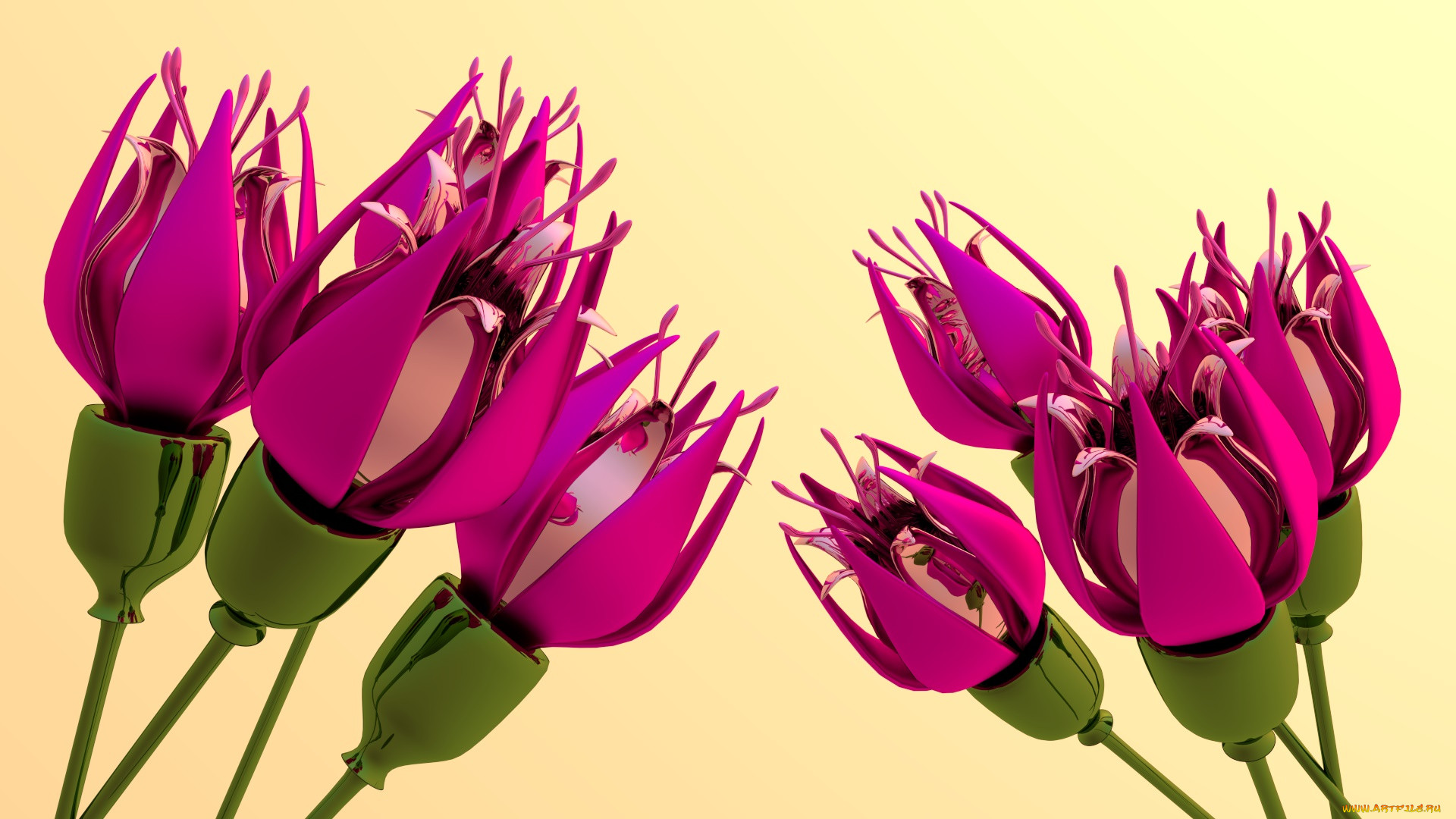 3 ,  , flowers, , 